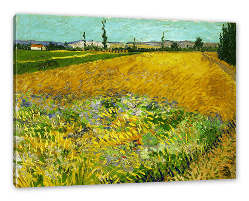 Vincent Van Gogh - Weizenfeld  Leinwanbild Rechteckig