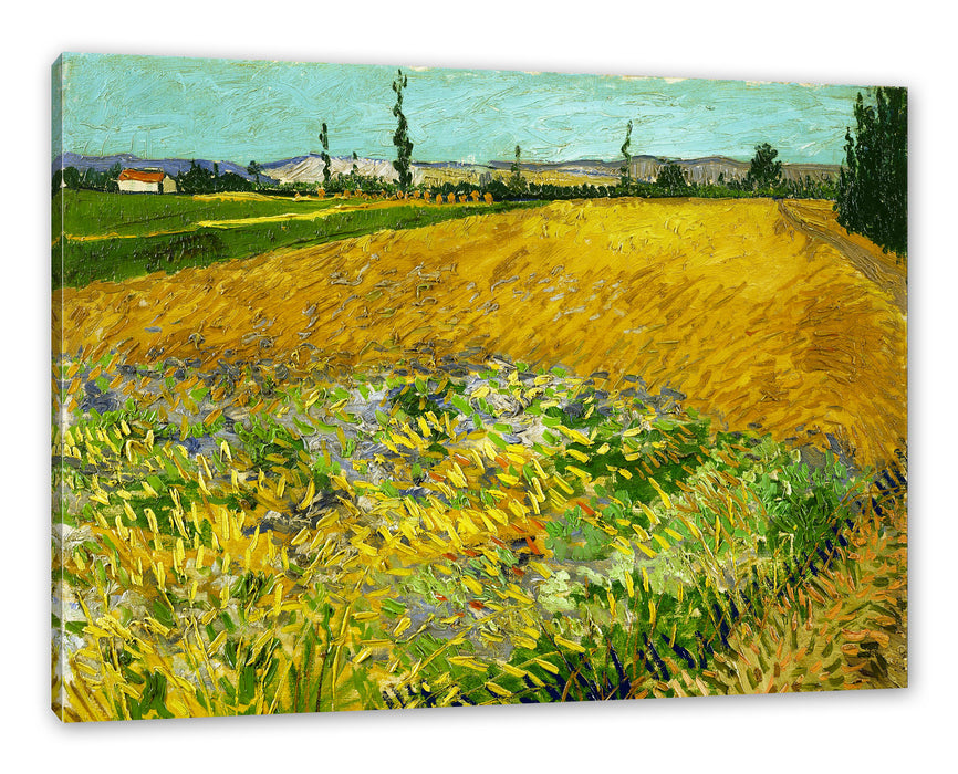 Pixxprint Vincent Van Gogh - Weizenfeld , Leinwandbild