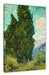 Vincent Van Gogh - Zypressen  Leinwanbild Rechteckig