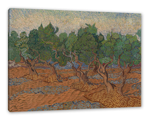 Vincent Van Gogh - Oliven-Hain  Leinwanbild Rechteckig
