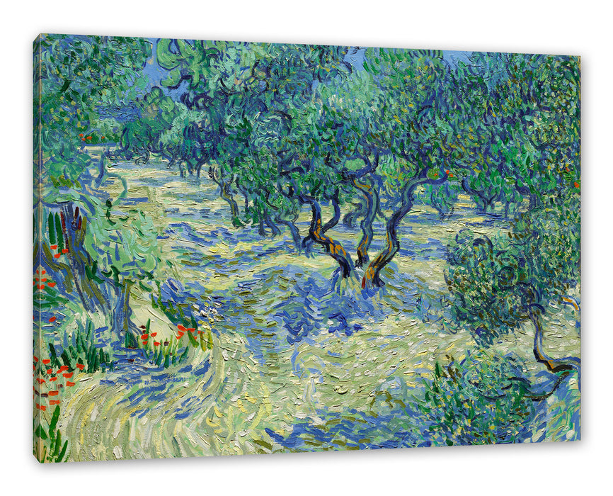Vincent Van Gogh - Oliven-Feld  Leinwanbild Rechteckig