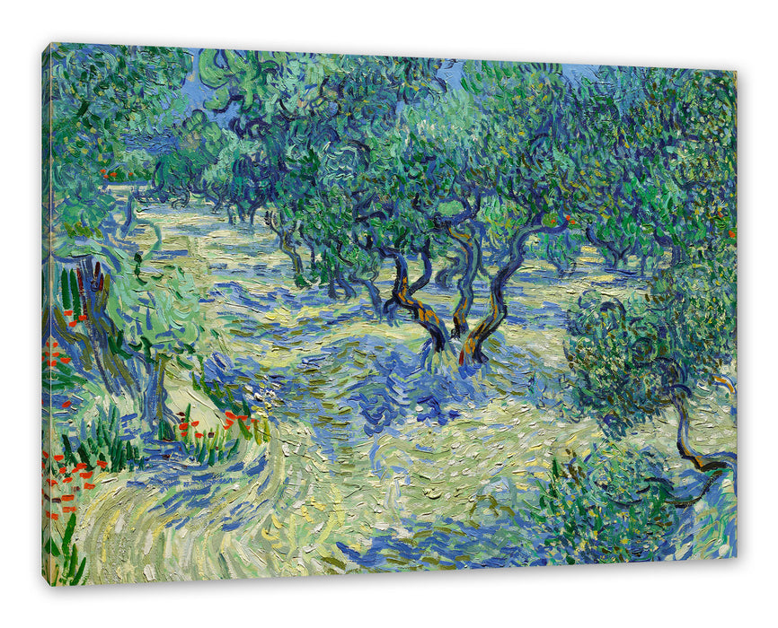 Pixxprint Vincent Van Gogh - Oliven-Feld , Leinwandbild