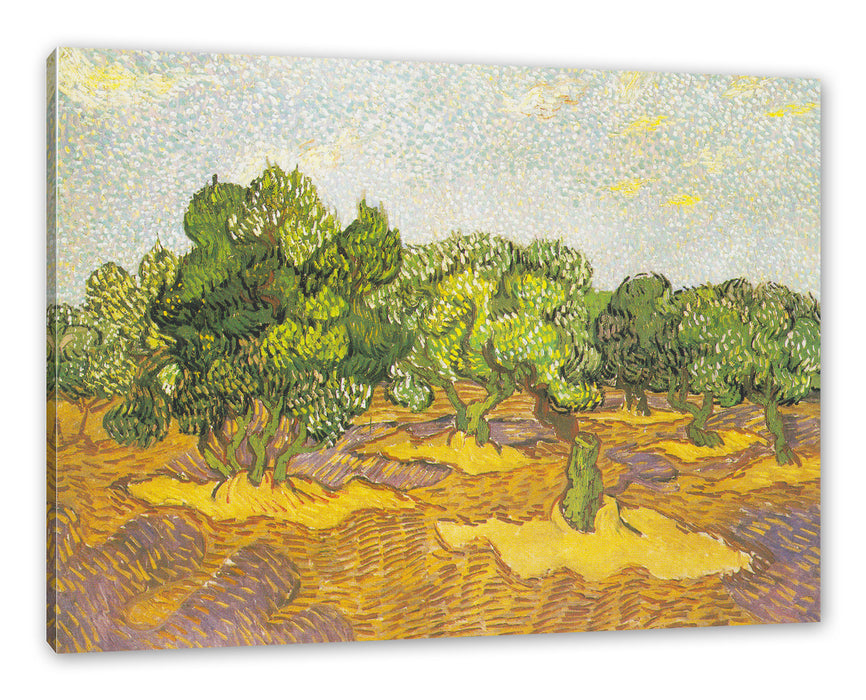 Pixxprint Vincent Van Gogh - Oliven-Bäume II , Leinwandbild