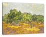 Vincent Van Gogh - Oliven-Bäume II  Leinwanbild Rechteckig