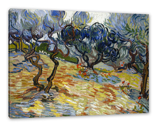 Vincent Van Gogh - Oliven-Bäume  Leinwanbild Rechteckig