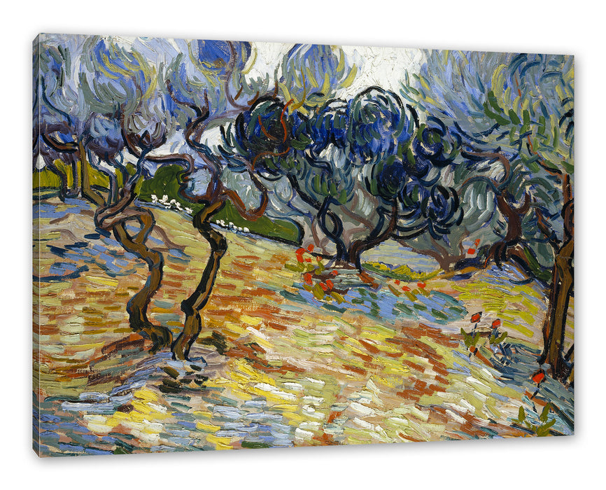 Pixxprint Vincent Van Gogh - Oliven-Bäume , Leinwandbild