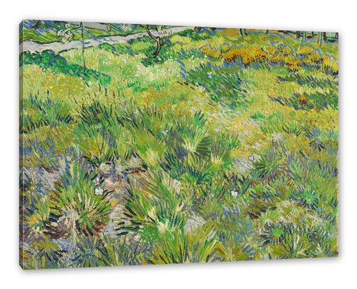 Vincent Van Gogh - Hohes Gras mit Schmetterlingen  Leinwanbild Rechteckig