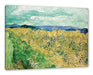 Vincent Van Gogh - Weizenfeld mit Kornblumen  Leinwanbild Rechteckig