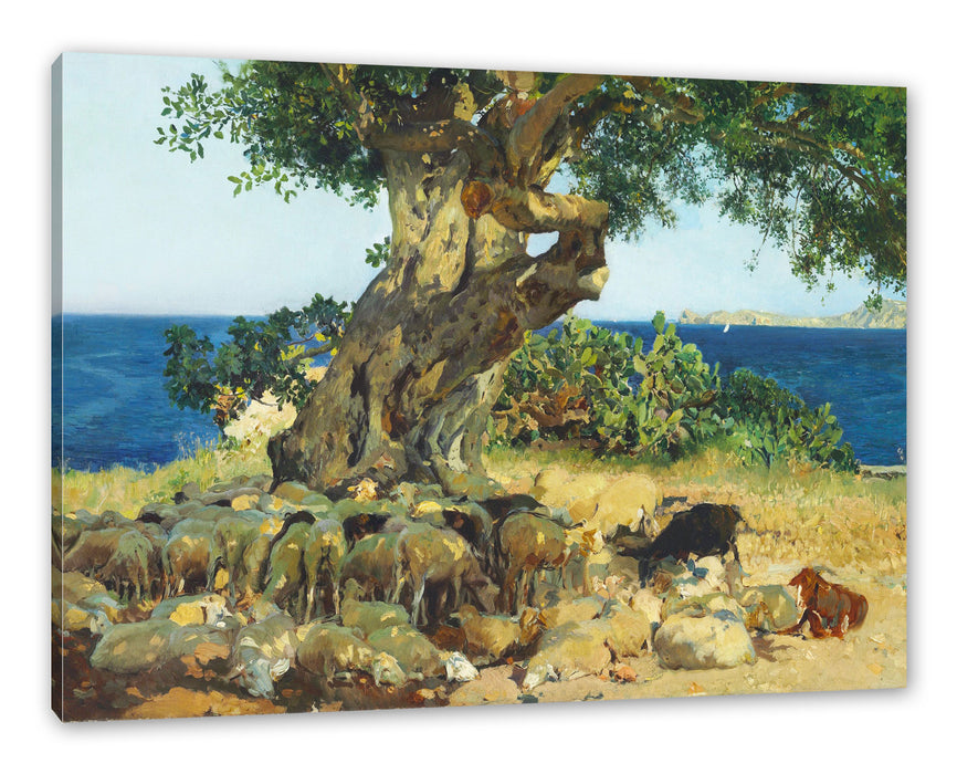 Pixxprint Joaquín Sorolla - Johannisbrotbaum Algarrobo, Leinwandbild