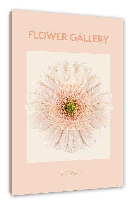 Pixxprint Flower Gallery - Weiße Gerbera I, Leinwandbild