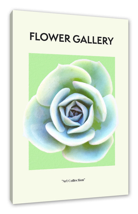 Flower Gallery  - Sukkulente , Leinwandbild