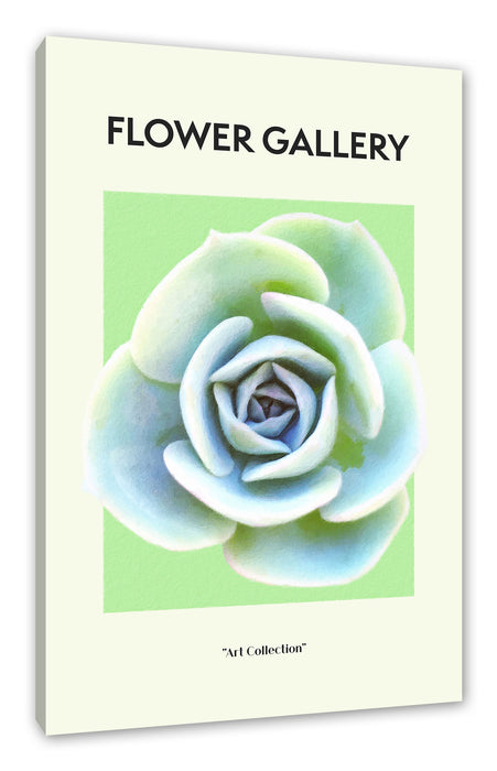 Pixxprint Flower Gallery - Sukkulente , Leinwandbild