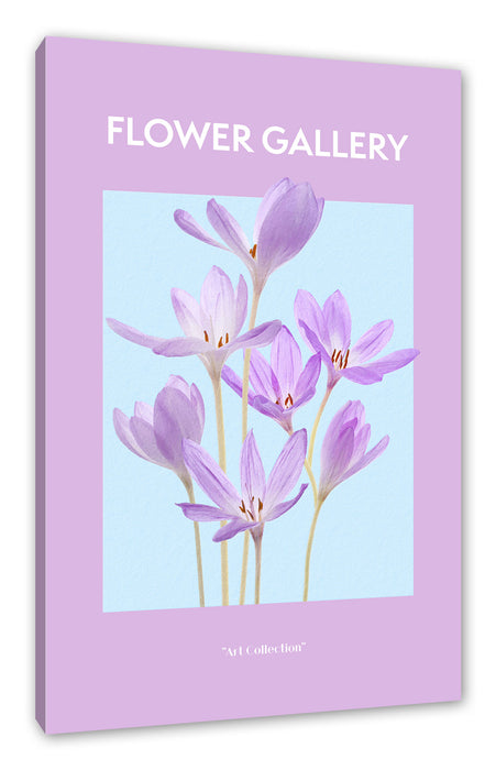 Pixxprint Flower Gallery - Lilie, Leinwandbild