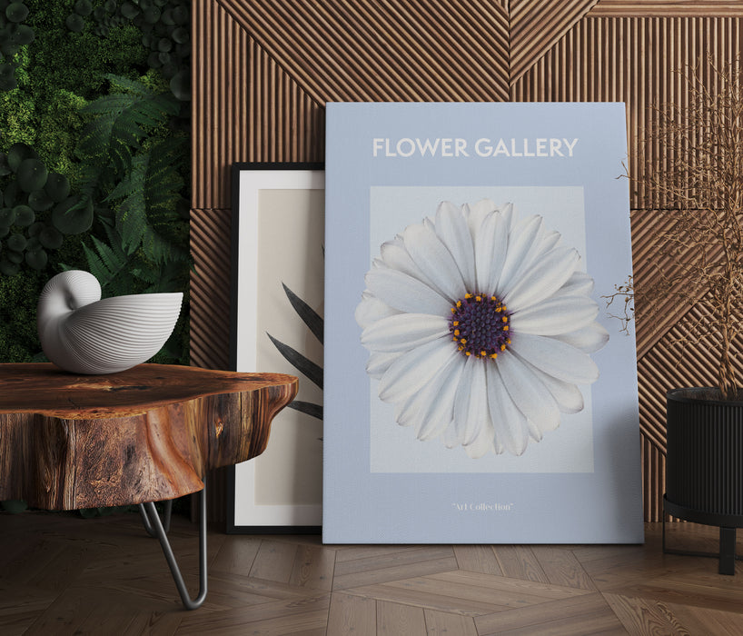 Flower Gallery  - Weiße Margerite , Leinwandbild