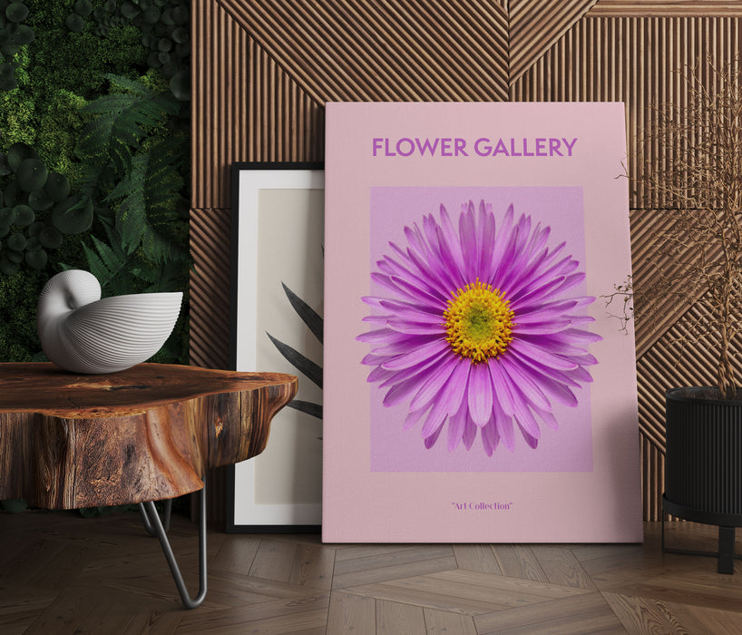 Flower Gallery  - Rosa Margerite I, Leinwandbild