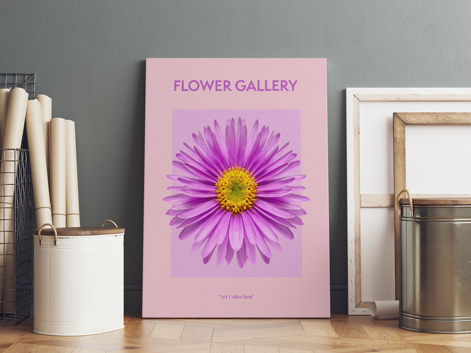 Flower Gallery  - Rosa Margerite I, Leinwandbild