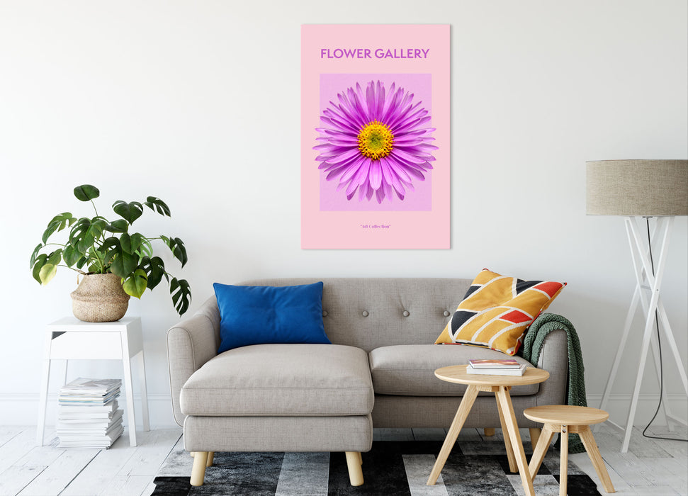 Flower Gallery  - Rosa Margerite I, Leinwandbild