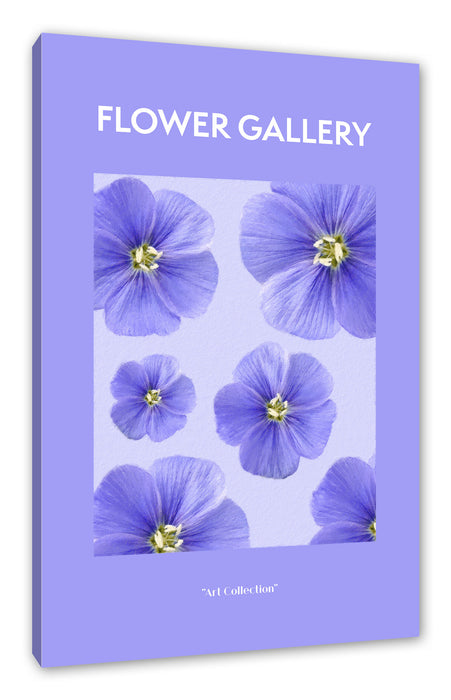 Pixxprint Flower Gallery - Flieder Flammenblume , Leinwandbild