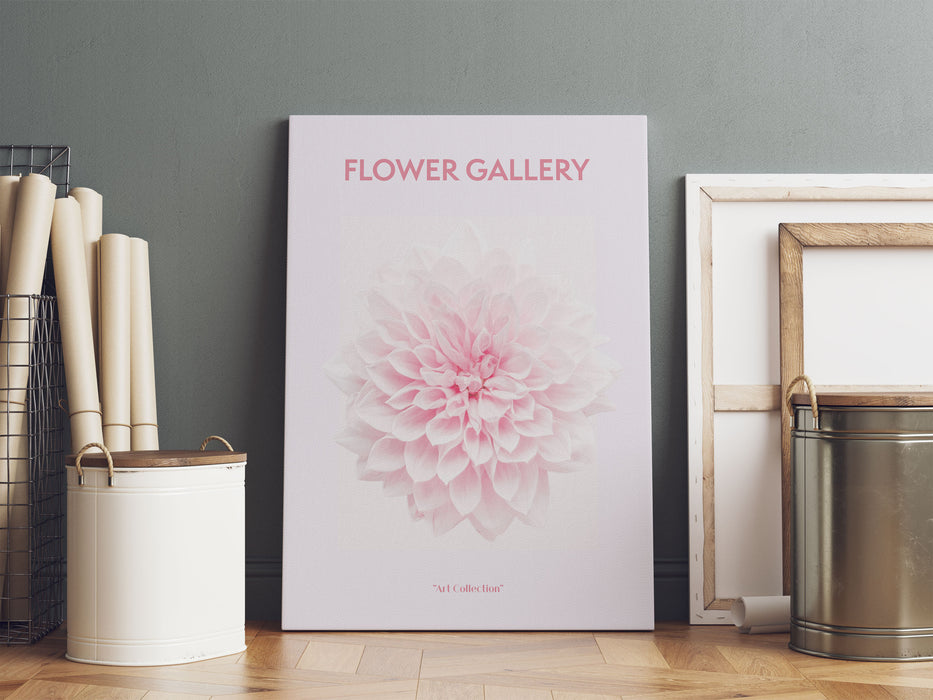 Flower Gallery  - Rosa Chrysantheme I, Leinwandbild