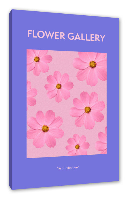 Pixxprint Flower Gallery - Rosa Kosmos Cosmos Rose, Leinwandbild