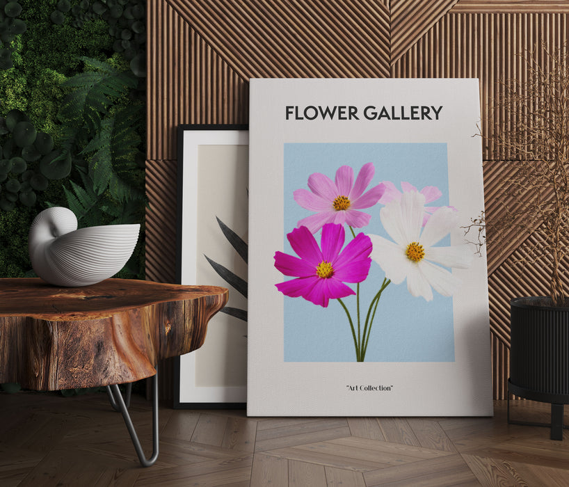 Flower Gallery  - Kosmos Cosmos Rose, Leinwandbild