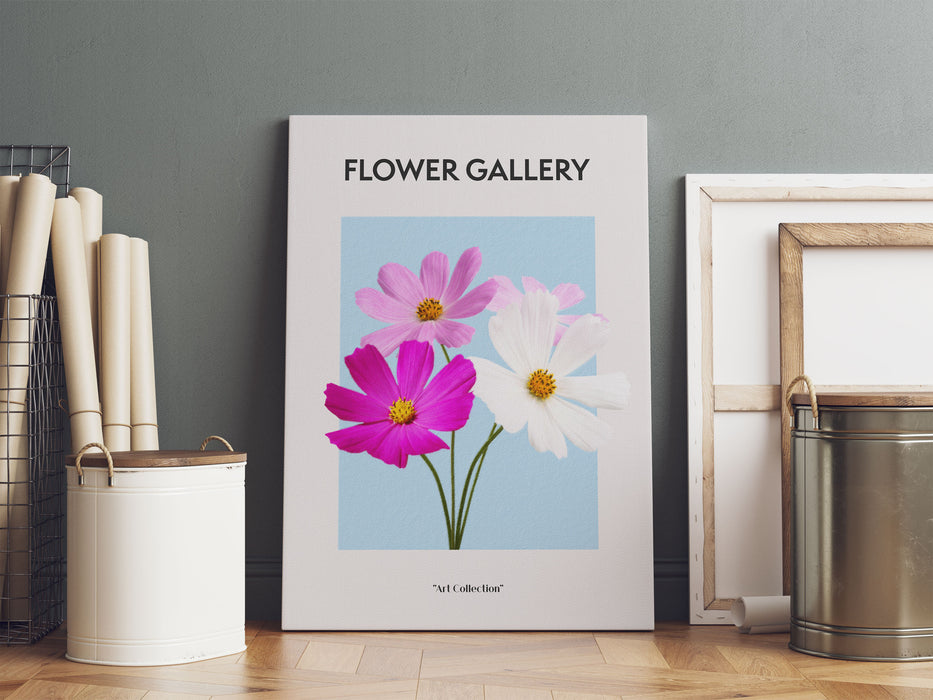 Flower Gallery  - Kosmos Cosmos Rose, Leinwandbild