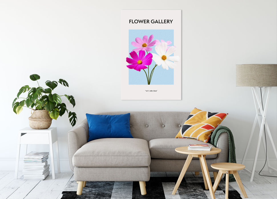 Flower Gallery  - Kosmos Cosmos Rose, Leinwandbild