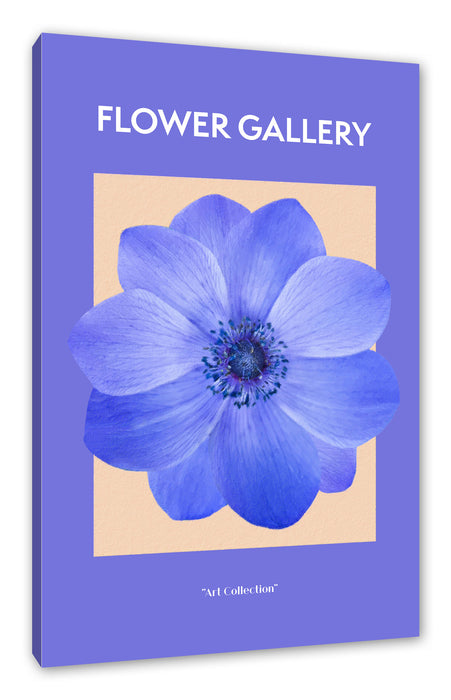 Pixxprint Flower Gallery - Lila Anemone Flieder, Leinwandbild