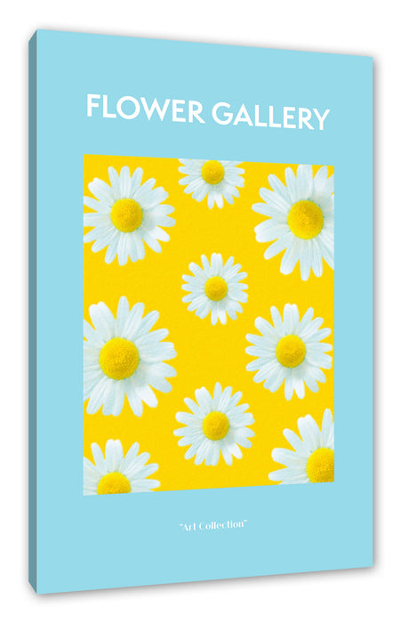 Pixxprint Flower Gallery - Weiße Kamille Gänseblümchen, Leinwandbild