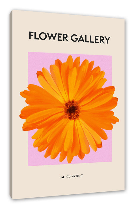 Pixxprint Flower Gallery - Orange Ringelblume, Leinwandbild