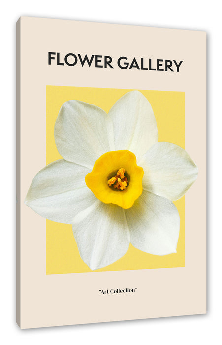 Pixxprint Flower Gallery - Weiße Osterglocke, Leinwandbild