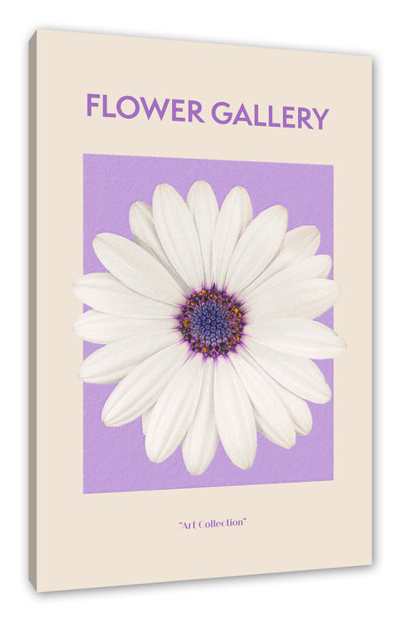 Pixxprint Flower Gallery - Weiße Margerite, Leinwandbild