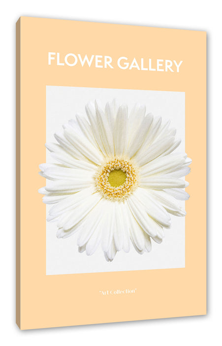 Pixxprint Flower Gallery - Weiße Gerbera II, Leinwandbild