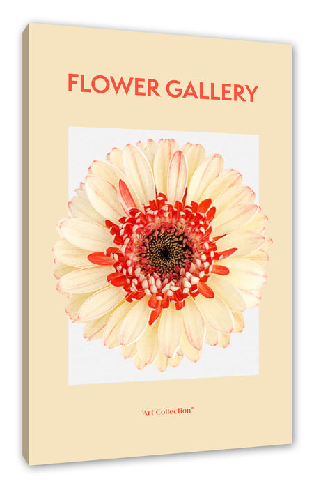 Pixxprint Flower Gallery - Pfirsich Gerbera , Leinwandbild