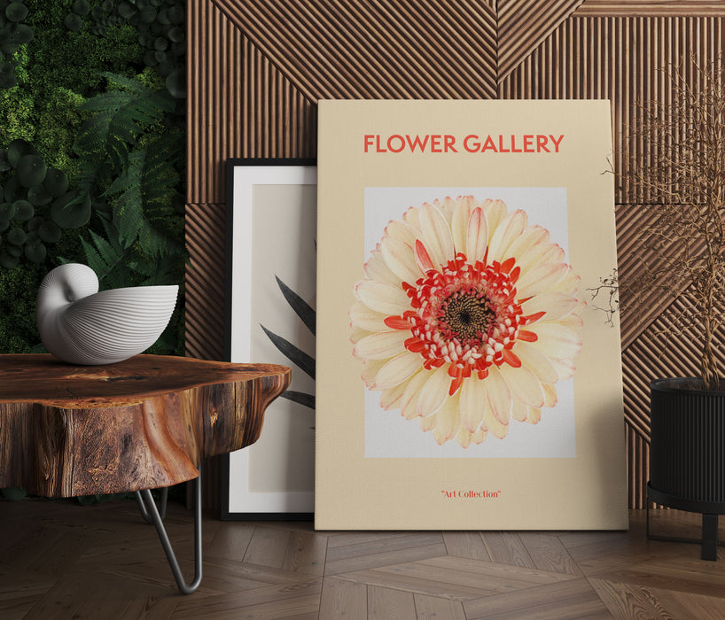 Flower Gallery  - Pfirsich Gerbera , Leinwandbild