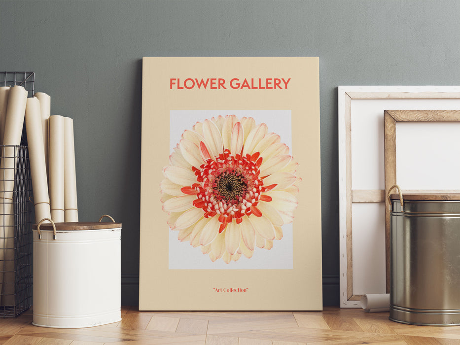 Flower Gallery  - Pfirsich Gerbera , Leinwandbild