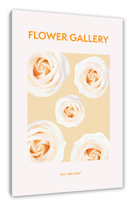 Pixxprint Flower Gallery - Weiße Rose, Leinwandbild