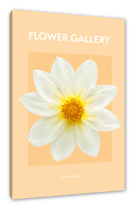 Pixxprint Flower Gallery - Rose Mandarinrose, Leinwandbild