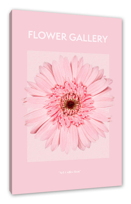 Pixxprint Flower Gallery - Pinke Gerbera II, Leinwandbild