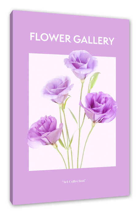 Flower Gallery  - Enzian Lysanthus, Leinwandbild