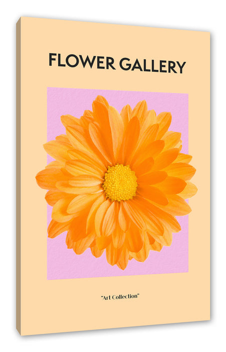 Flower Gallery  - Orange Margerite, Leinwandbild