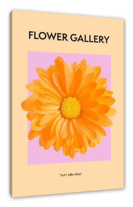 Pixxprint Flower Gallery - Orange Margerite, Leinwandbild