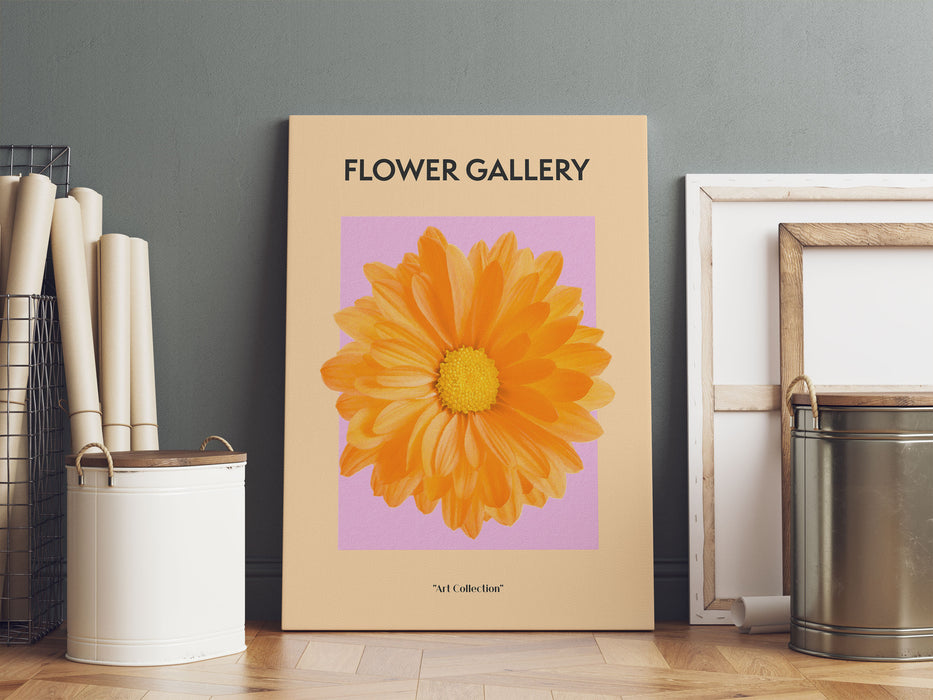 Flower Gallery  - Orange Margerite, Leinwandbild