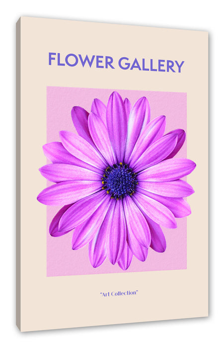 Pixxprint Flower Gallery - Pinke Margerite, Leinwandbild