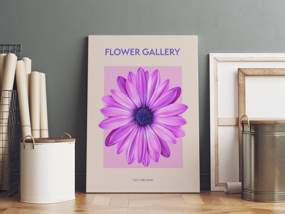 Flower Gallery  - Pinke Margerite, Leinwandbild