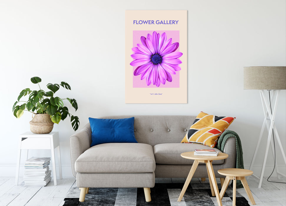 Flower Gallery  - Pinke Margerite, Leinwandbild