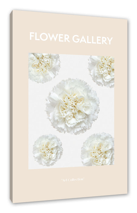 Pixxprint Flower Gallery - Weiße Nelke, Leinwandbild