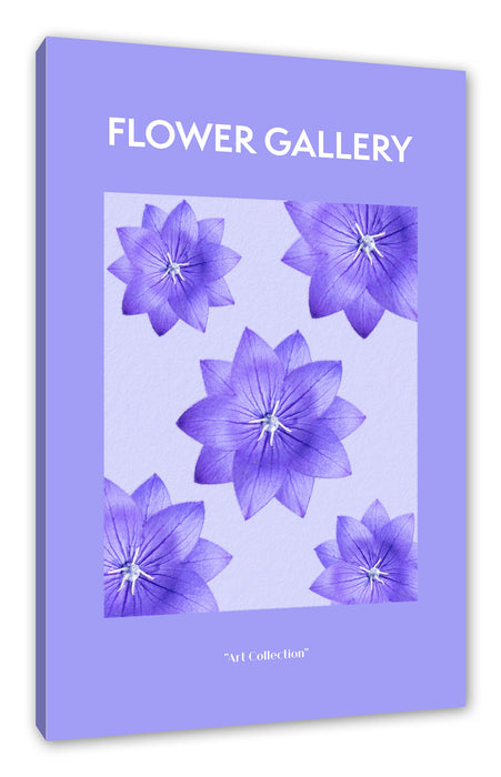 Pixxprint Flower Gallery - Lila Ballonblume, Leinwandbild