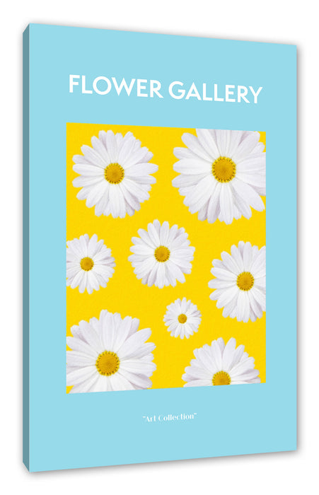 Flower Gallery  - Kamille Gänseblümchen, Leinwandbild