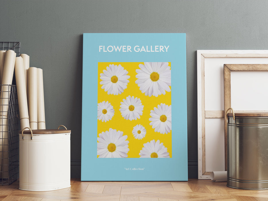 Flower Gallery  - Kamille Gänseblümchen, Leinwandbild